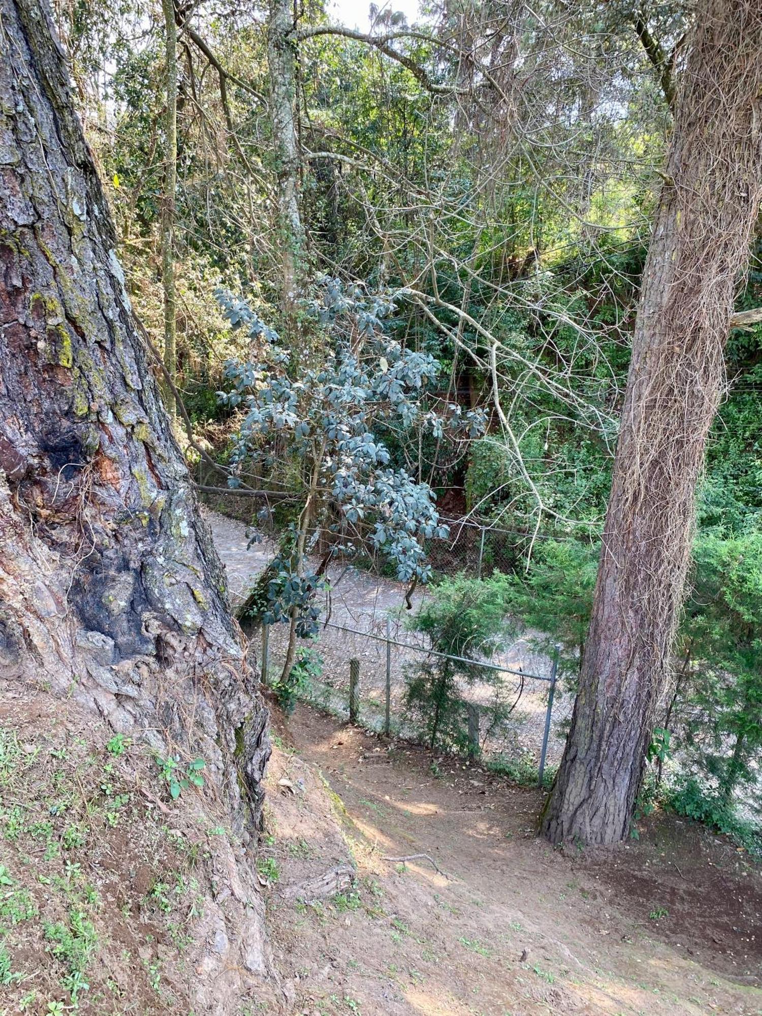 Villa Nona Acatitlan エクステリア 写真