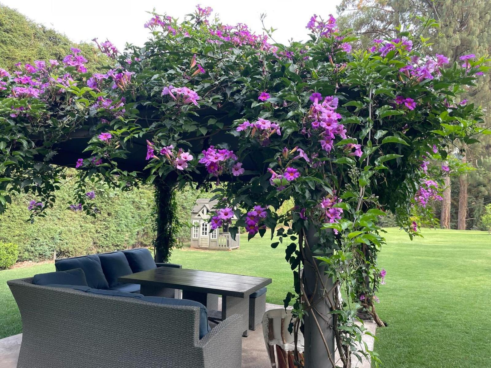 Villa Nona Acatitlan エクステリア 写真